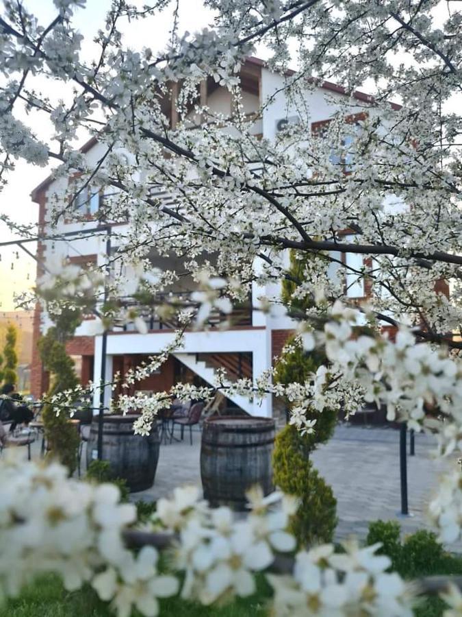 Hotel Karse à Ambrolaouri Extérieur photo